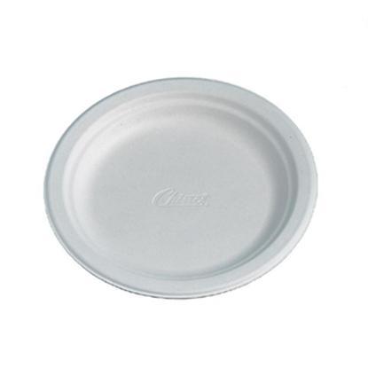 Pack = 10 X White Large 22cm Round Moulded Disposable Sandwich Plate